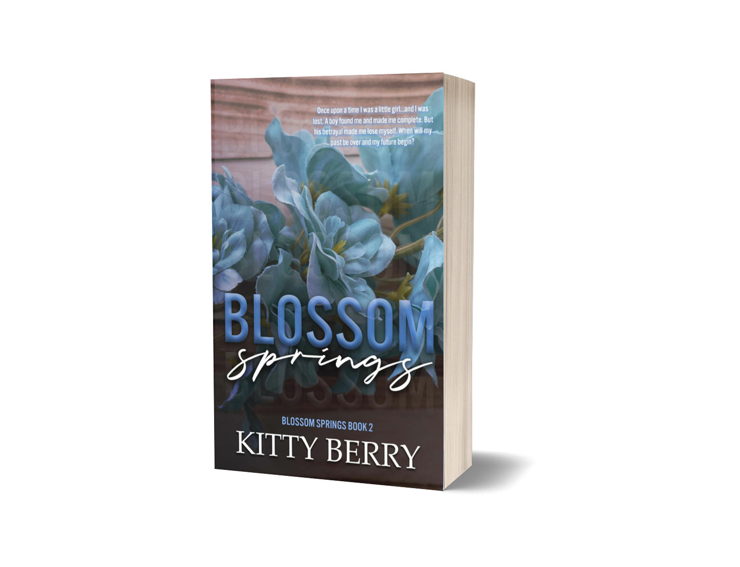 Blossom Springs Book Two